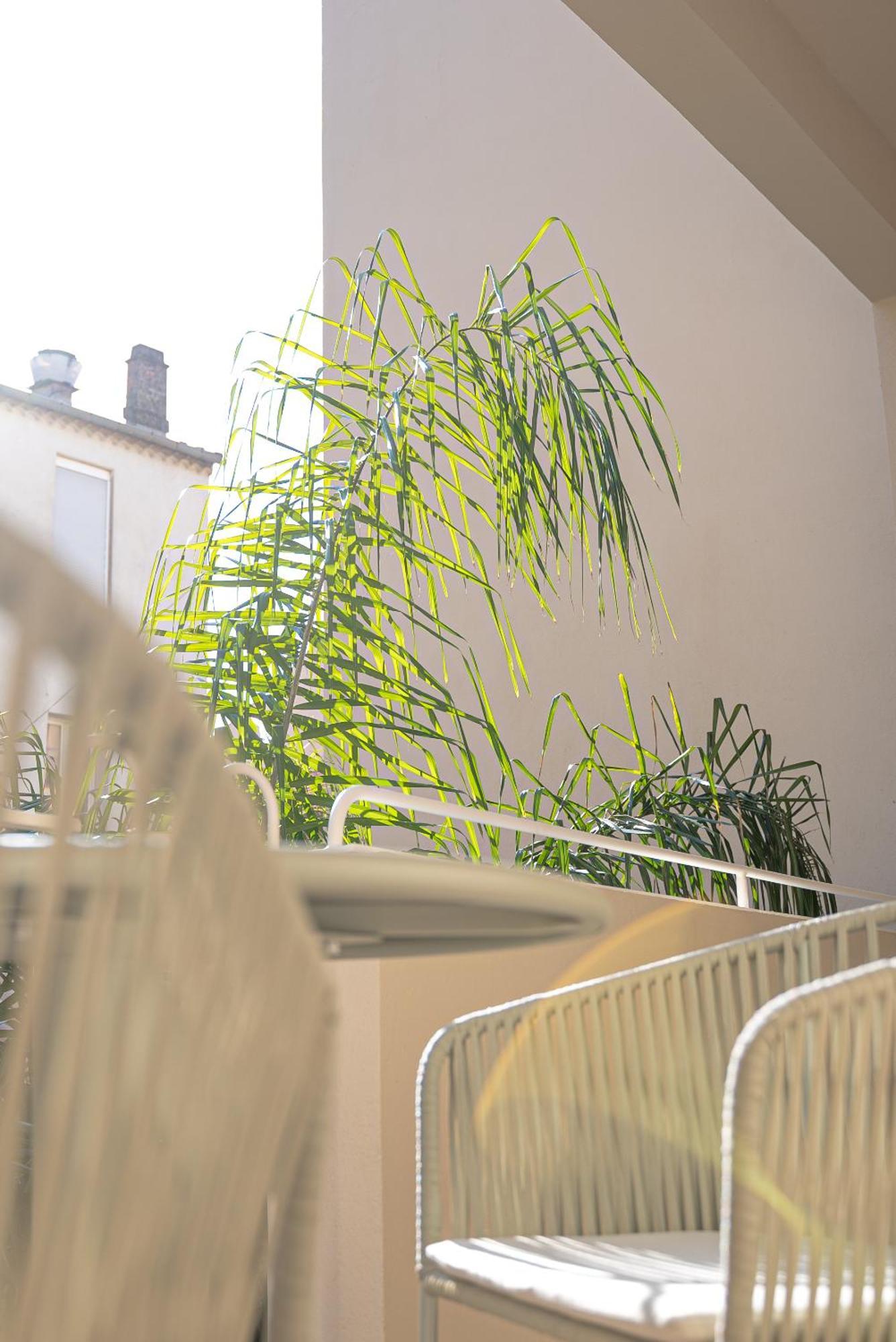 Studios Raffines Avec Terrasses - Plages, Ville Et Gare A Pied - Maison Raphael Saint-Raphael (Var) Exterior foto